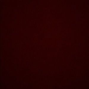 Meet your Posher, Bailey